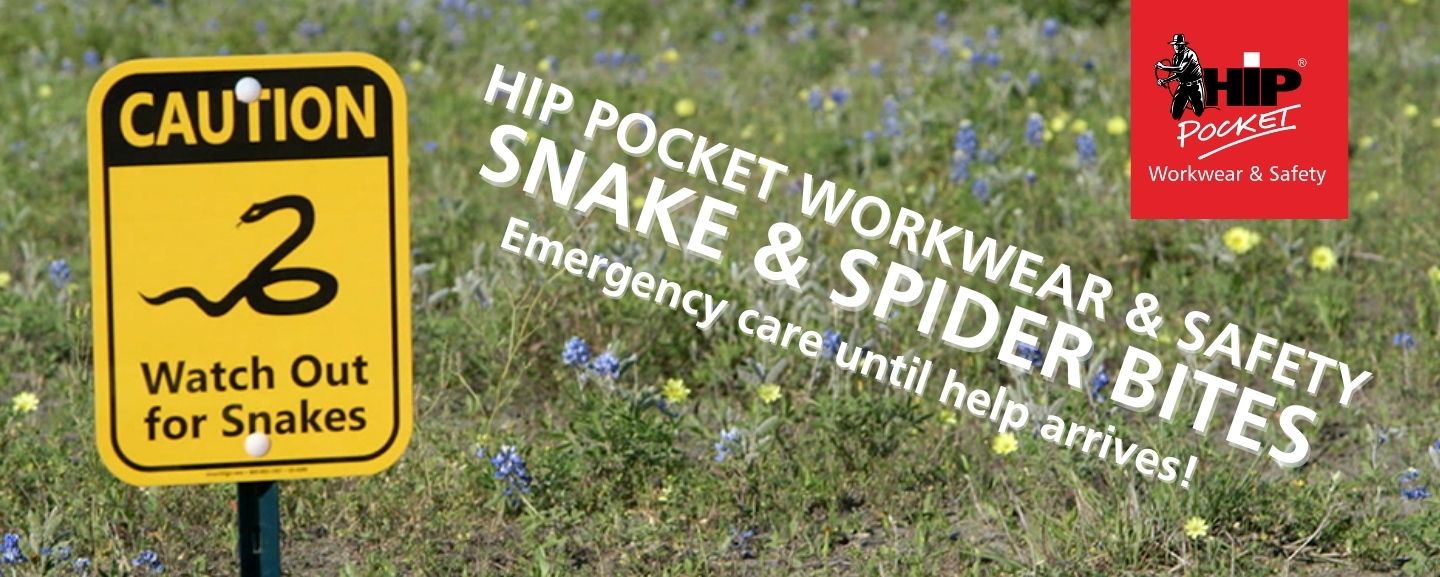 Treating a Snake Bite or Spider Bite