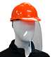 Head & Face Protection